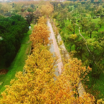 Amarillo de IKER BAHÓN ALVAREZ